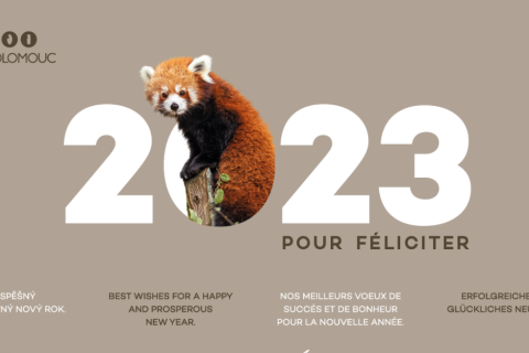 PF 2023
