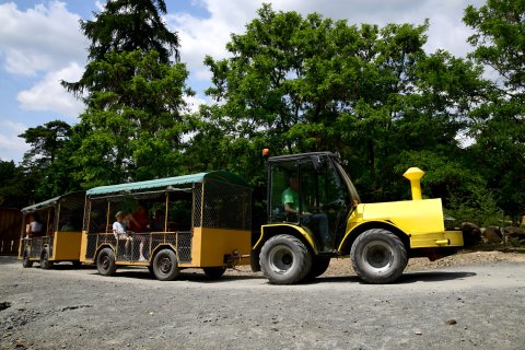 Safari v Zoo Olomouc