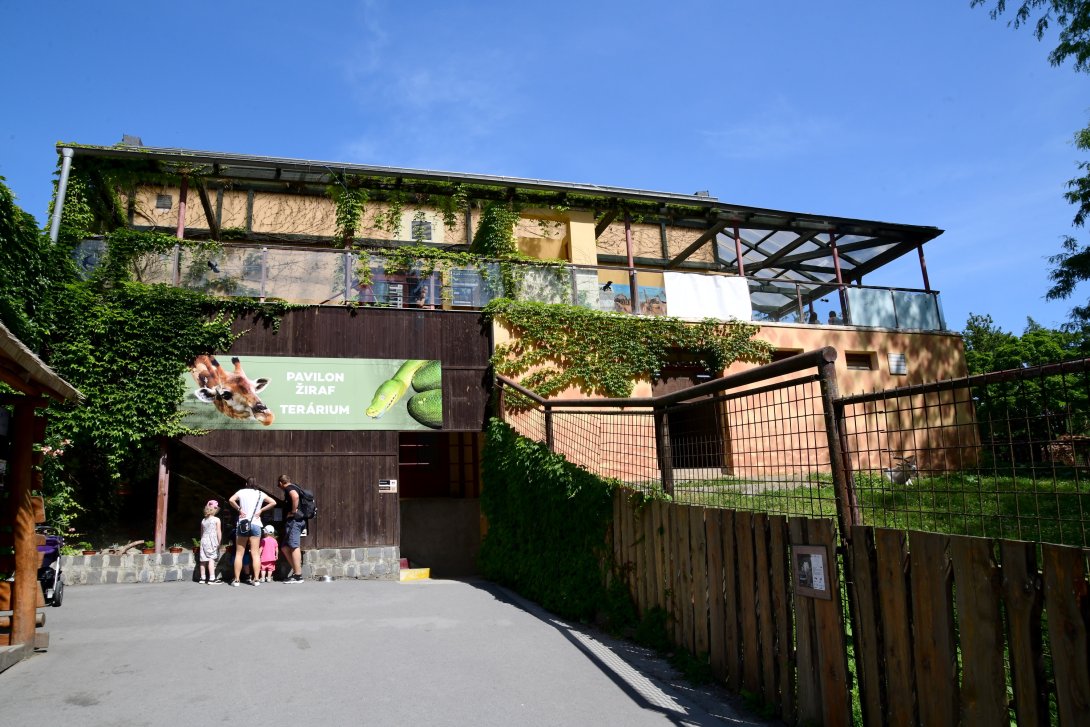 Pavilon žiraf a terária