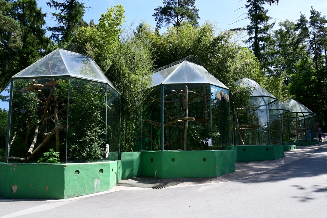 Pavilon opic