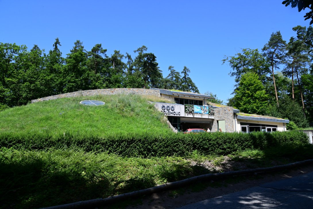Vstup do zoo, lemuři a terária