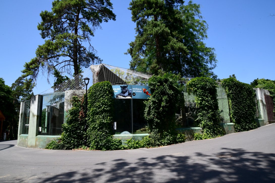 Pavilon šelem